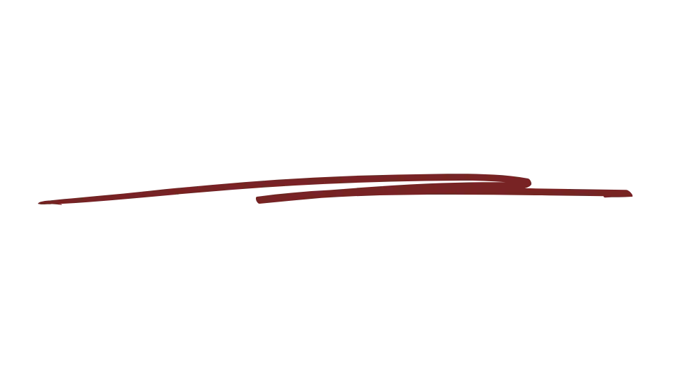 A dark brown line or stroke on a transparent background.