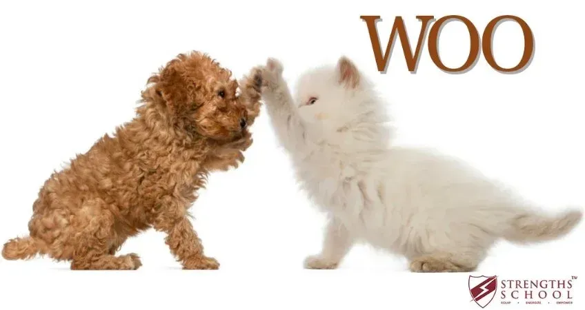 WOO dog cat high five